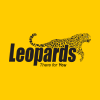 Leopard Tracking